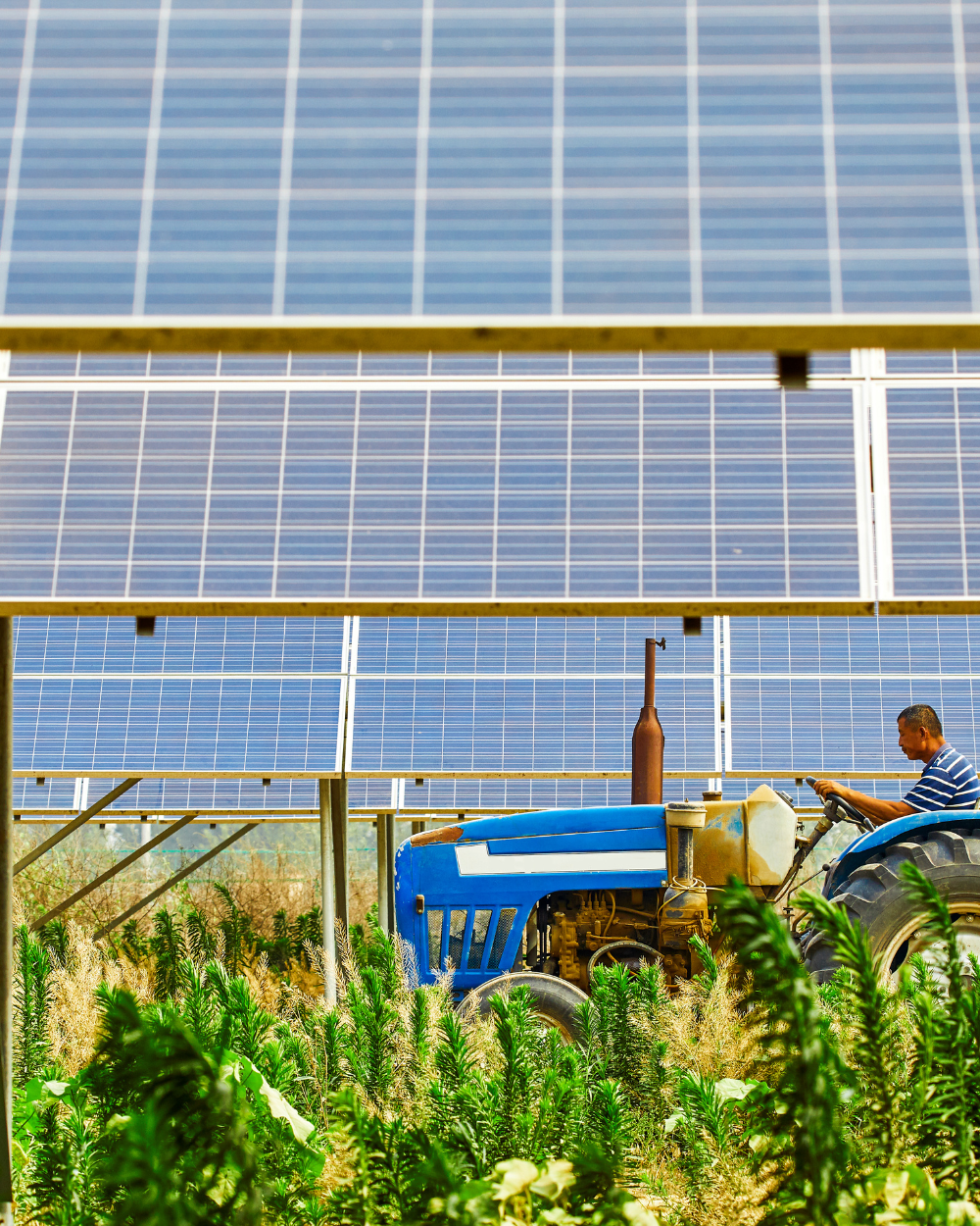 Shah Residence solar project