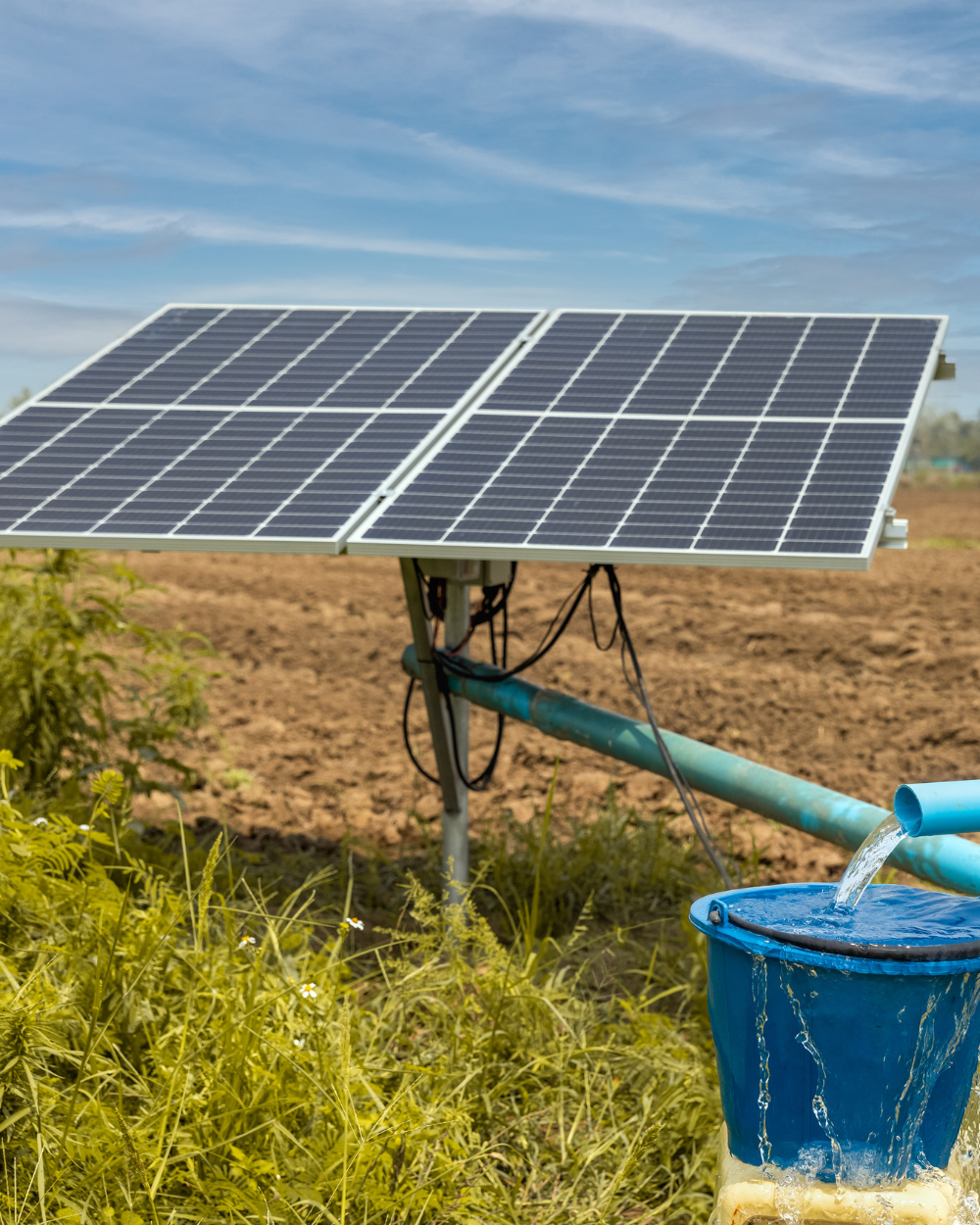 Shreeji Dairy solar project